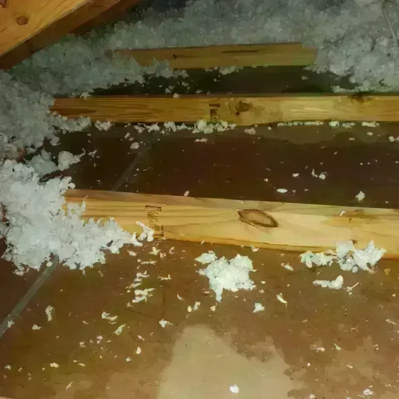 Attic Water Damage in Lakeview, MI