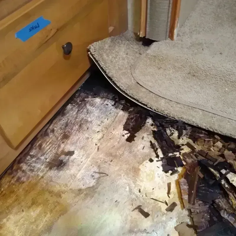 Best Wood Floor Water Damage Service in Lakeview, MI